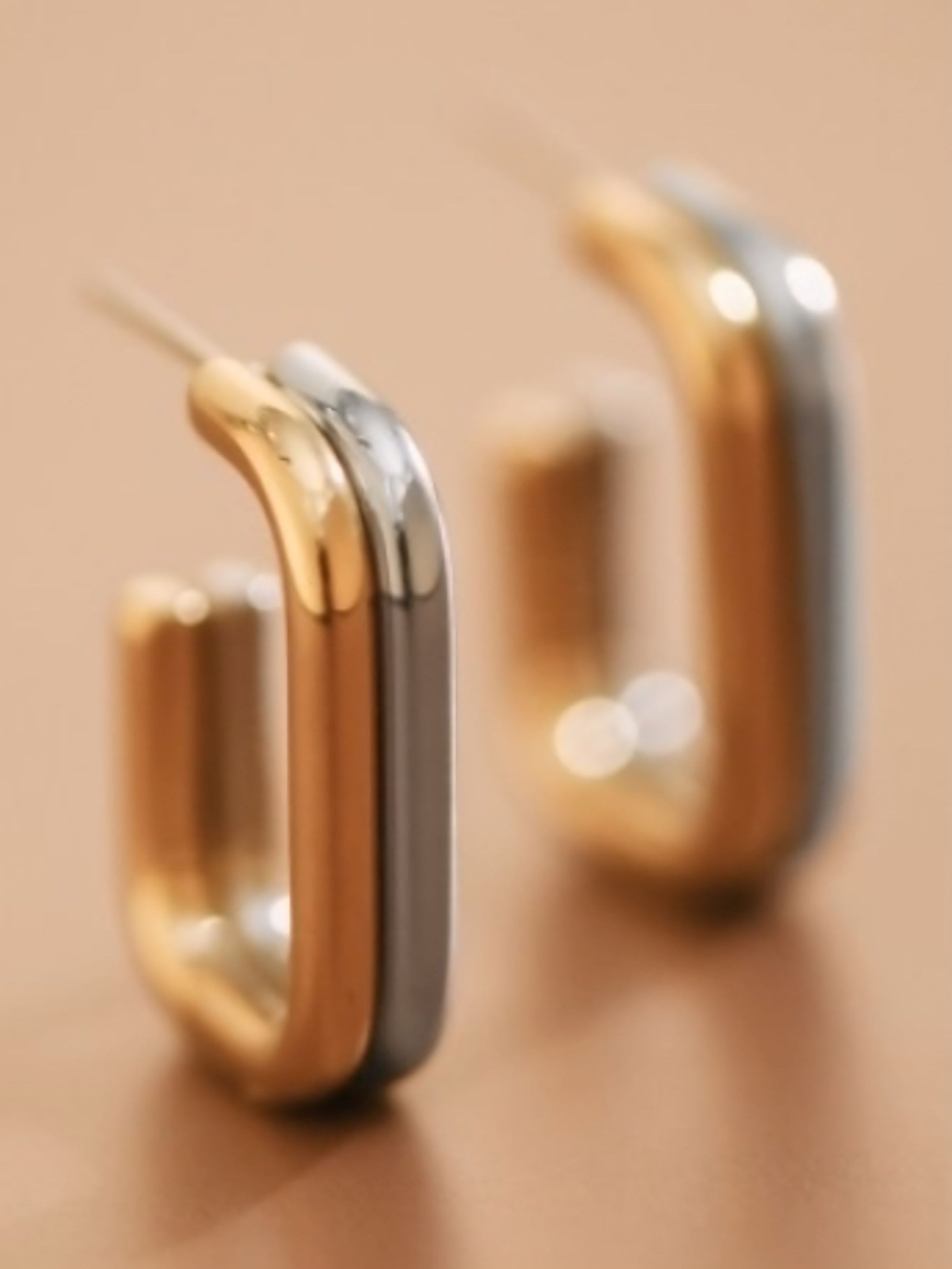 18K Two Tone Rosie's Earrings