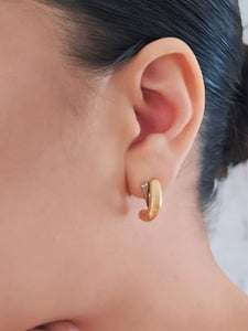 Samantha's Two Tone Earrings